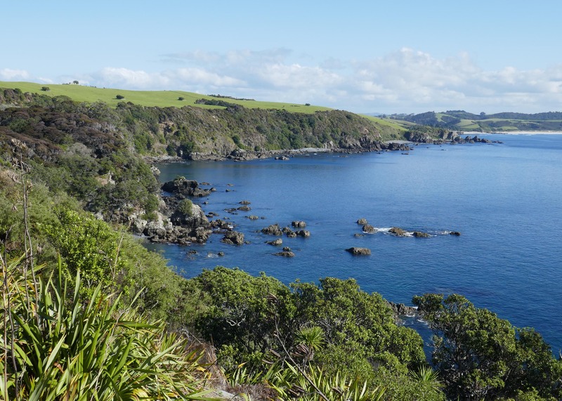 Tāwharanui - an Open Sanctuary 20 minutes drive up the road, and one of our favourite places to enjoy NZ's natural environment